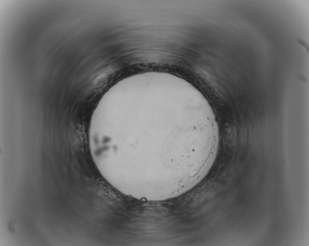 X0000096460918200801311509