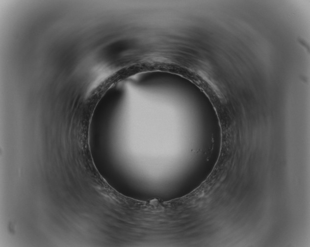 X0000096460919200801311509