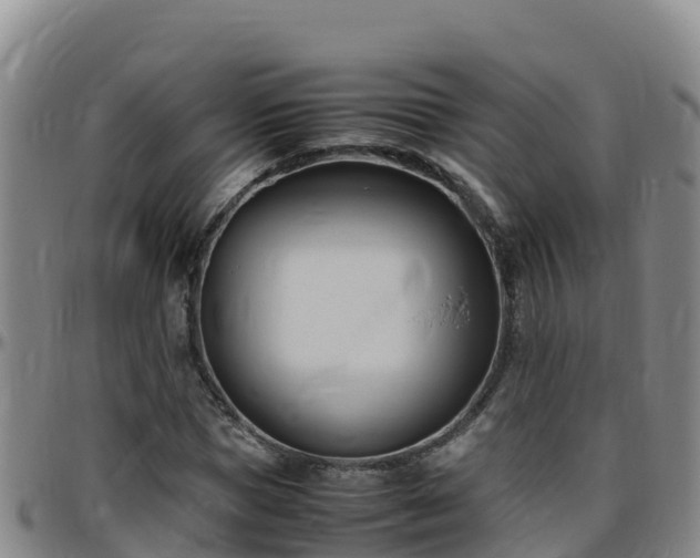 X0000096460921200801311509