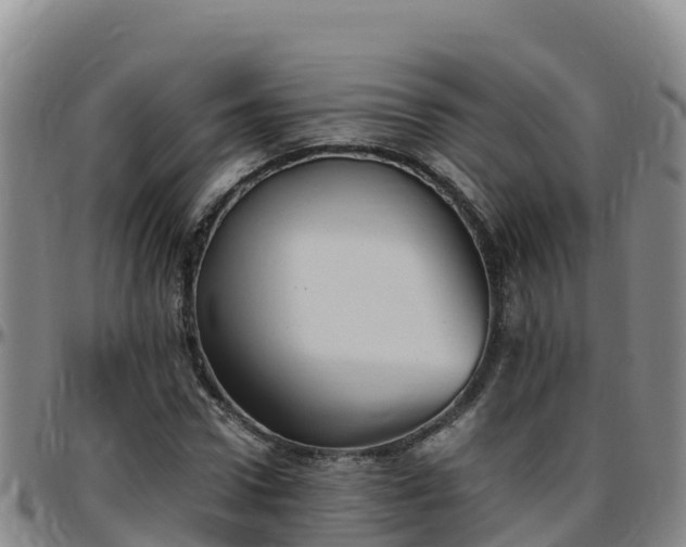 X0000096460922200801311509