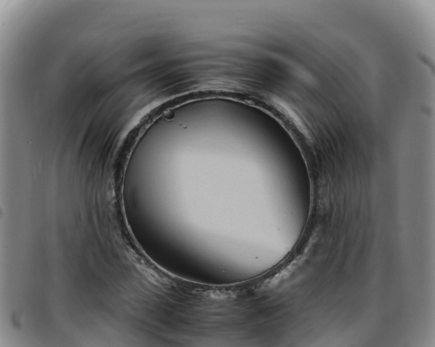 X0000096460923200801311509