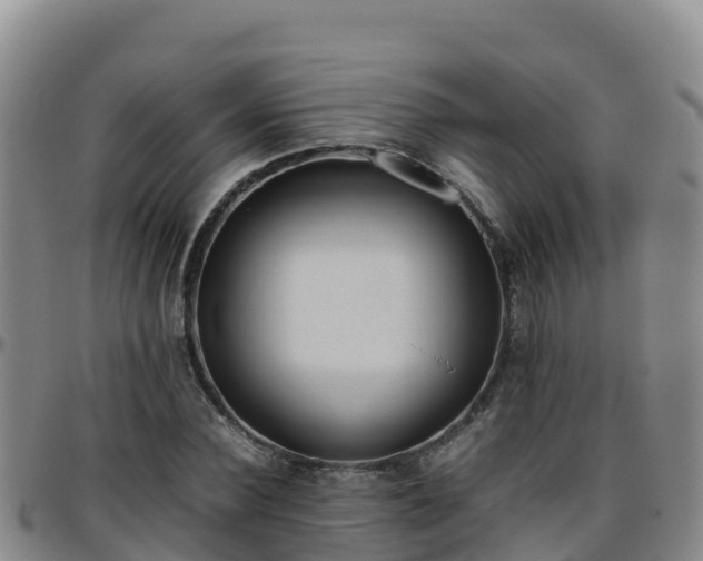 X0000096460924200801311509