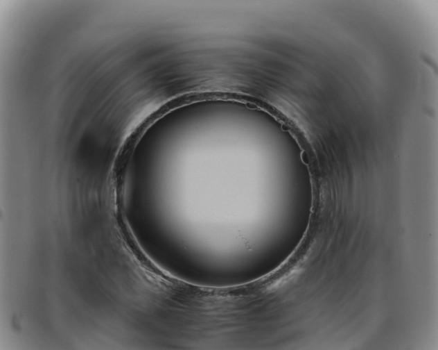 X0000096460925200801311509