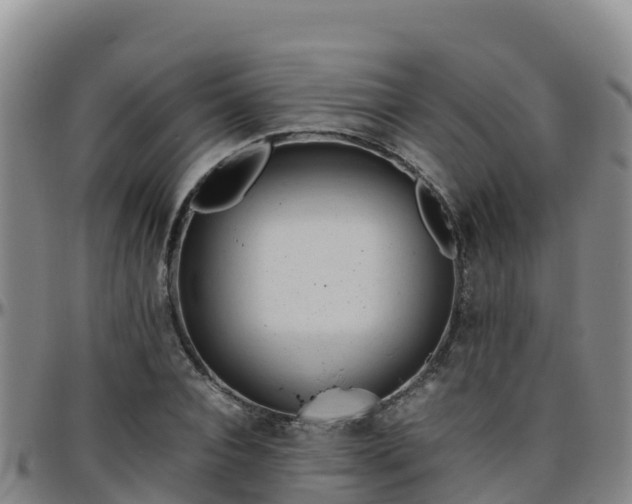 X0000096460928200801311509