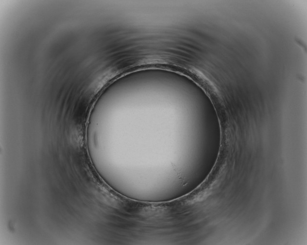 X0000096460929200801311509