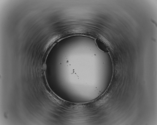 X0000096460930200801311509