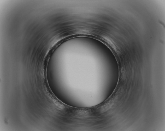 X0000096460931200801311509