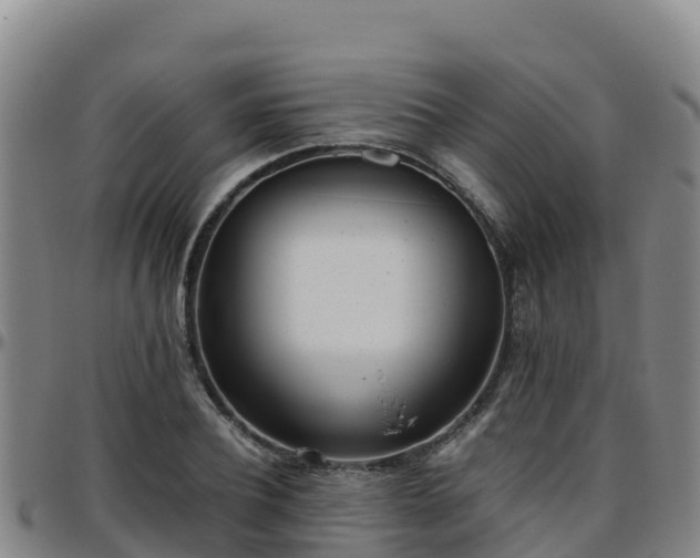 X0000096460932200801311509
