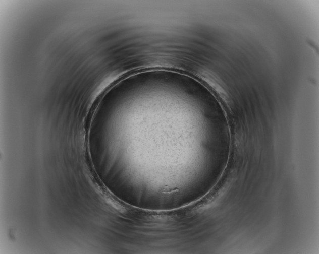 X0000096460933200801311509