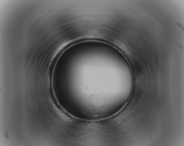 X0000096460934200801311509