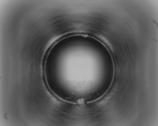 X0000096460935200801311509