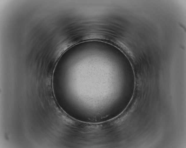 X0000096460937200801311509