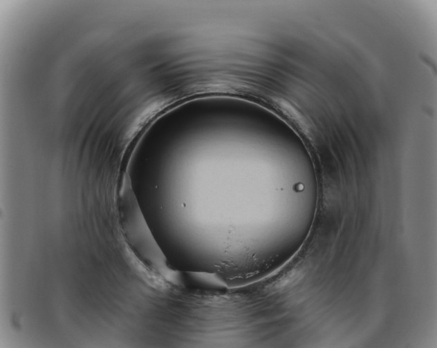 X0000096460938200801311509