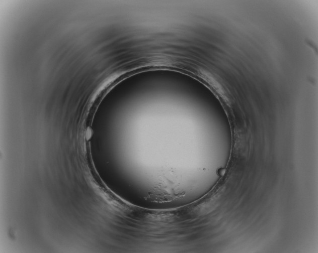 X0000096460939200801311509