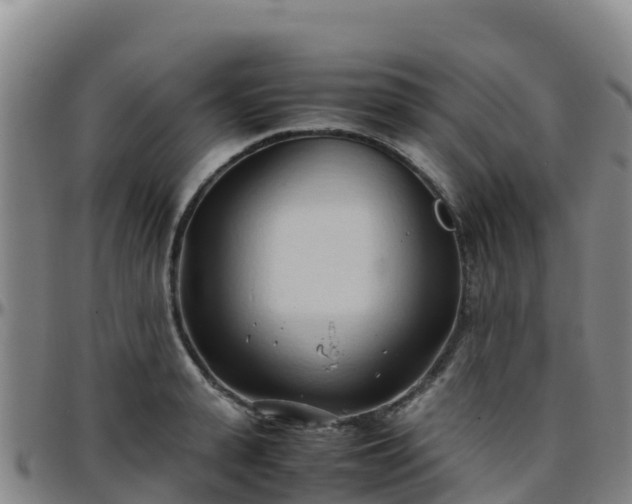 X0000096460943200801311509