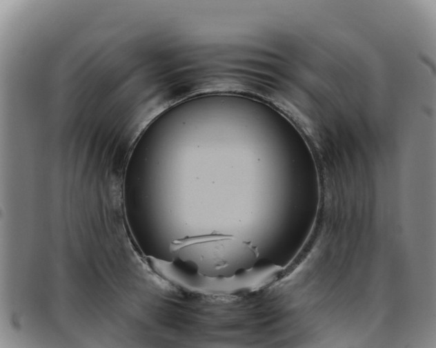 X0000096460945200801311509