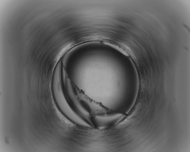 X0000096460946200801311509