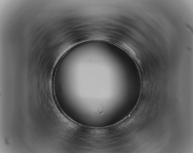 X0000096460947200801311509