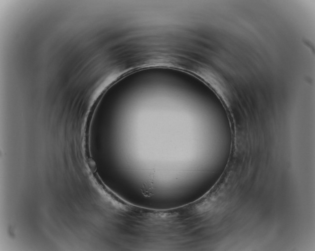 X0000096460949200801311509