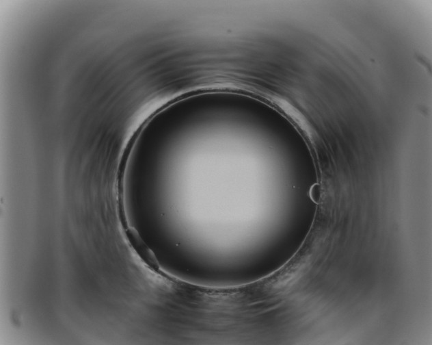 X0000096460951200801311509