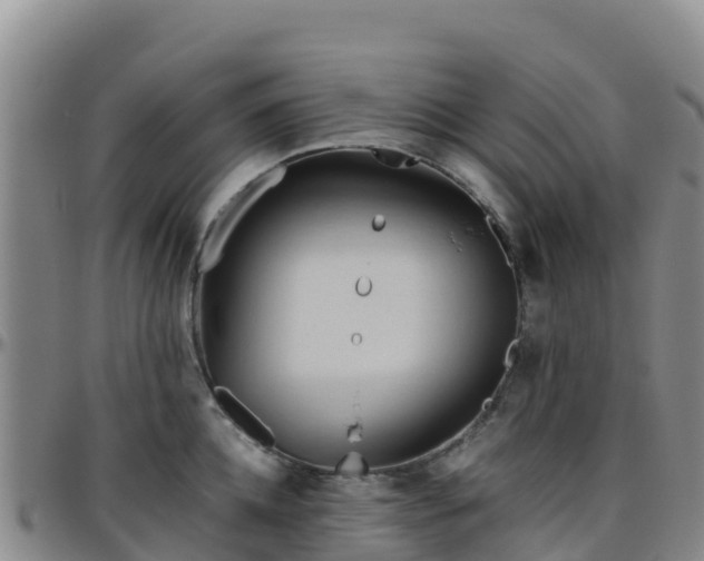 X0000096460952200801311509
