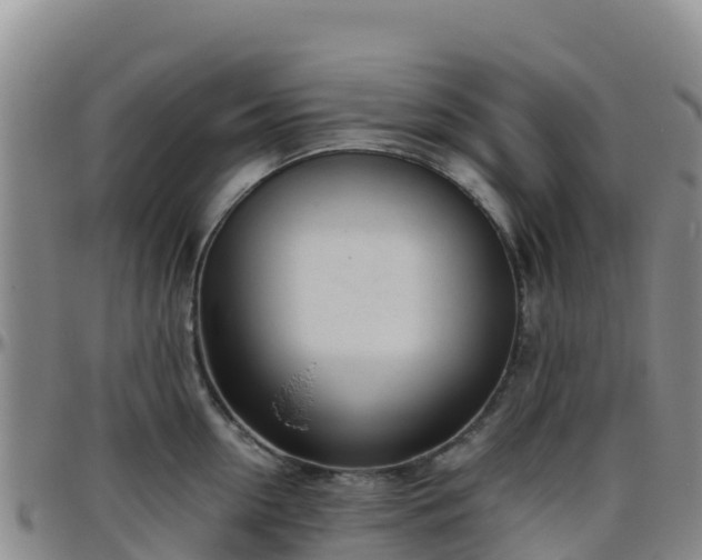 X0000096460954200801311509