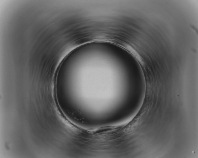 X0000096460955200801311509