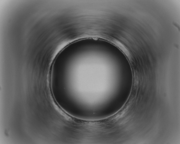X0000096460958200801311509