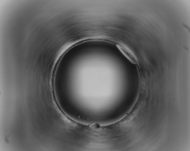 X0000096460959200801311509