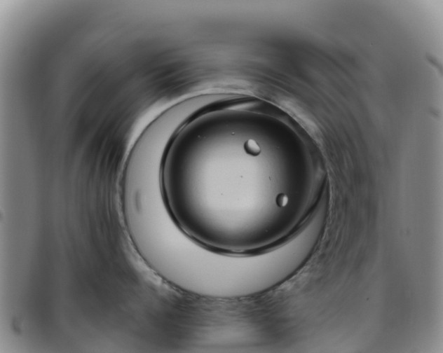 X0000096460960200801311509