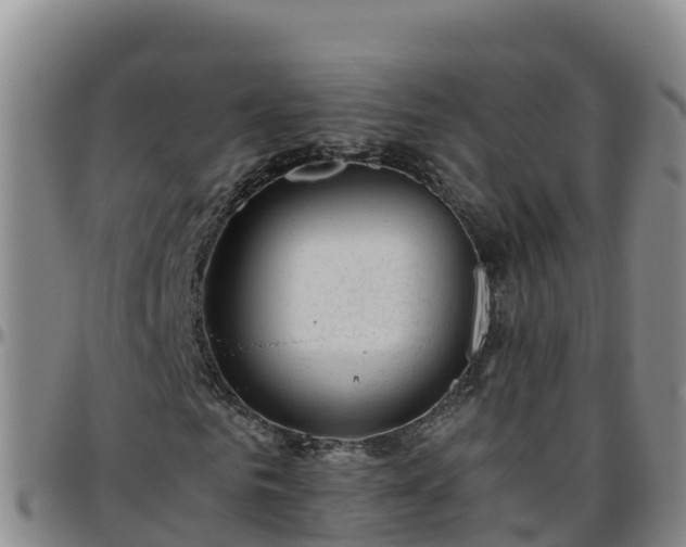 X0000096460961200801311509