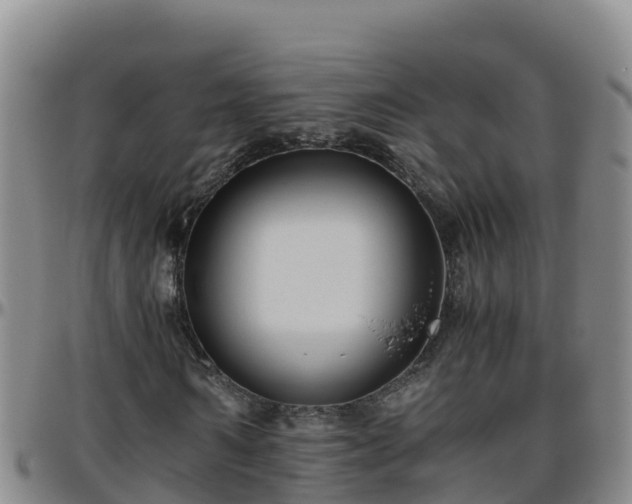 X0000096460962200801311509