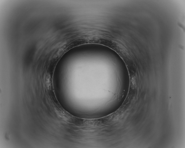 X0000096460963200801311509
