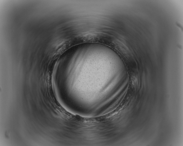 X0000096460964200801311508