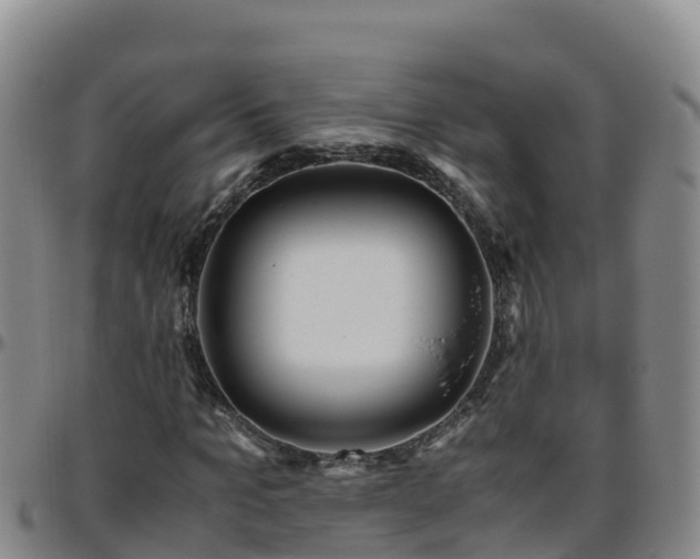 X0000096460965200801311508