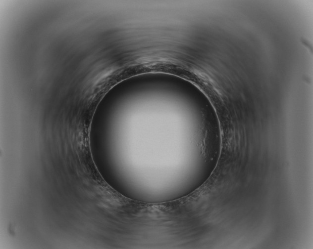 X0000096460966200801311508