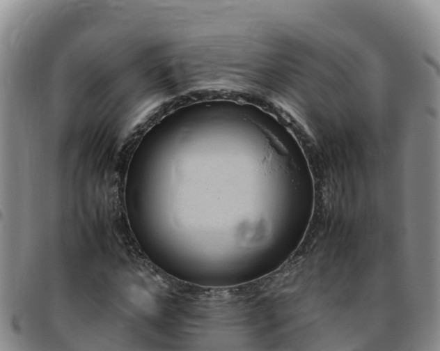 X0000096460968200801311508