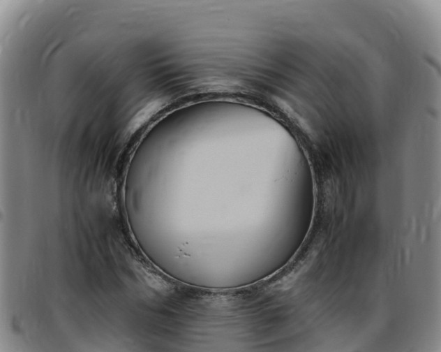 X0000096460970200801311508
