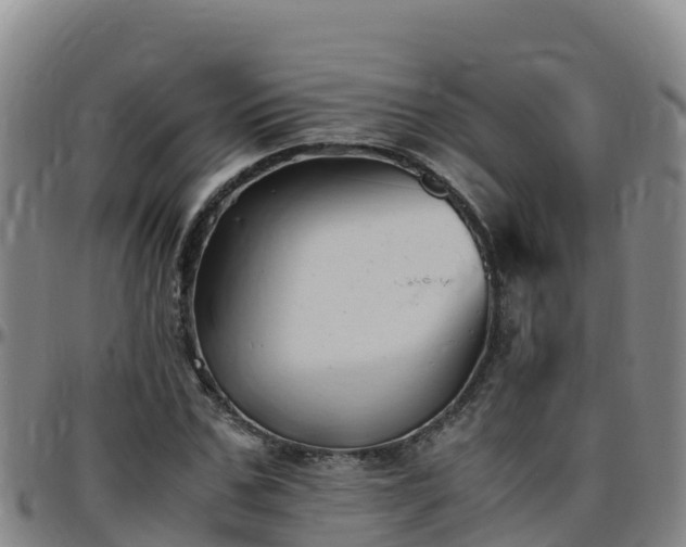 X0000096460971200801311508