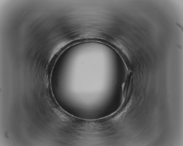 X0000096460973200801311508
