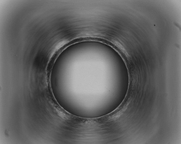 X0000096460974200801311508