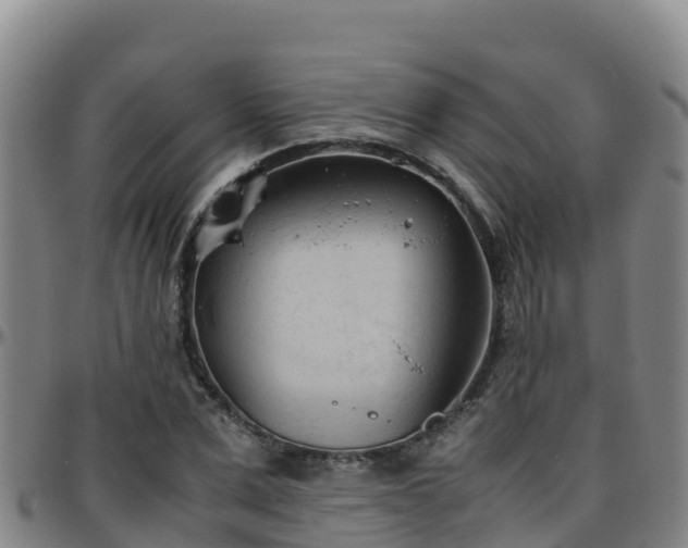 X0000096460975200801311508