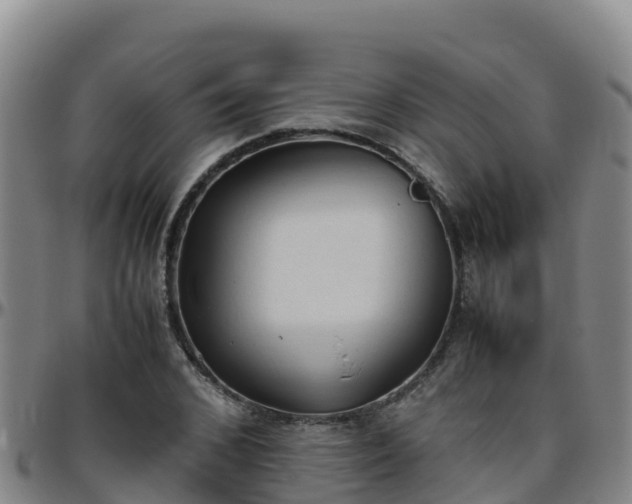 X0000096460976200801311508