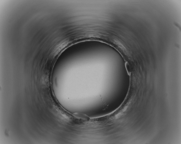 X0000096460977200801311508