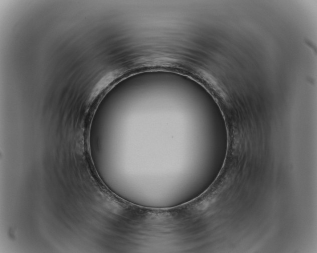 X0000096460978200801311508