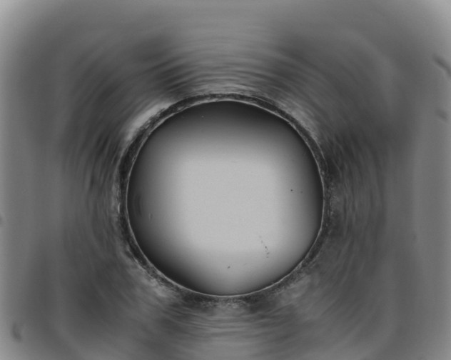 X0000096460979200801311508