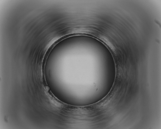 X0000096460980200801311508