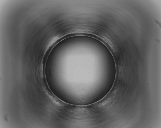 X0000096460982200801311508