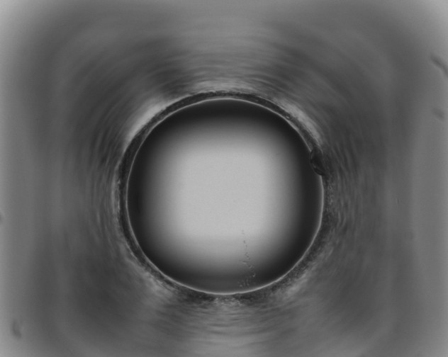 X0000096460983200801311508