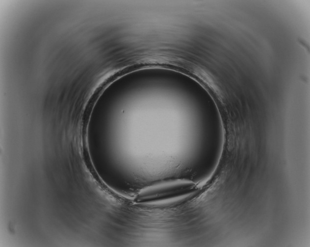 X0000096460984200801311508